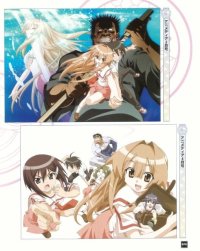 BUY NEW seto no hanayome - 161047 Premium Anime Print Poster